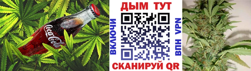 Canna-Cookies марихуана  наркота  Монино 